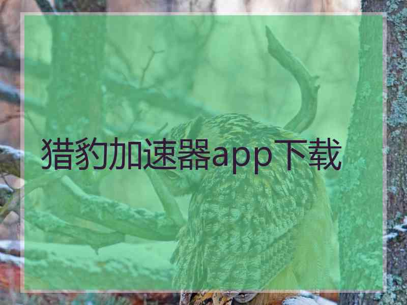 猎豹加速器app下载