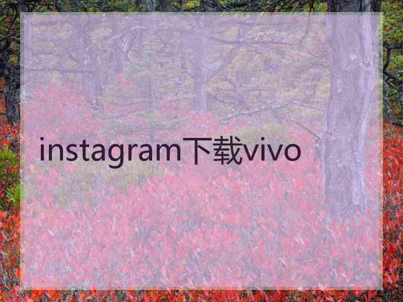 instagram下载vivo