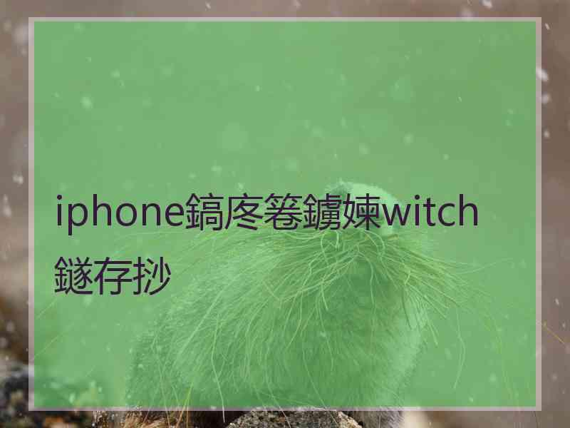 iphone鎬庝箞鐪媡witch鐩存挱