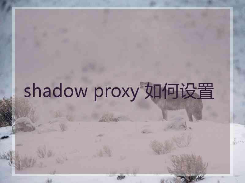 shadow proxy 如何设置