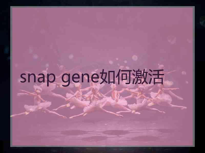 snap gene如何激活