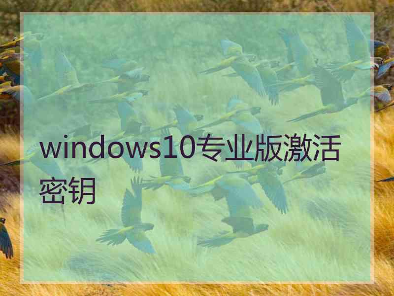 windows10专业版激活密钥