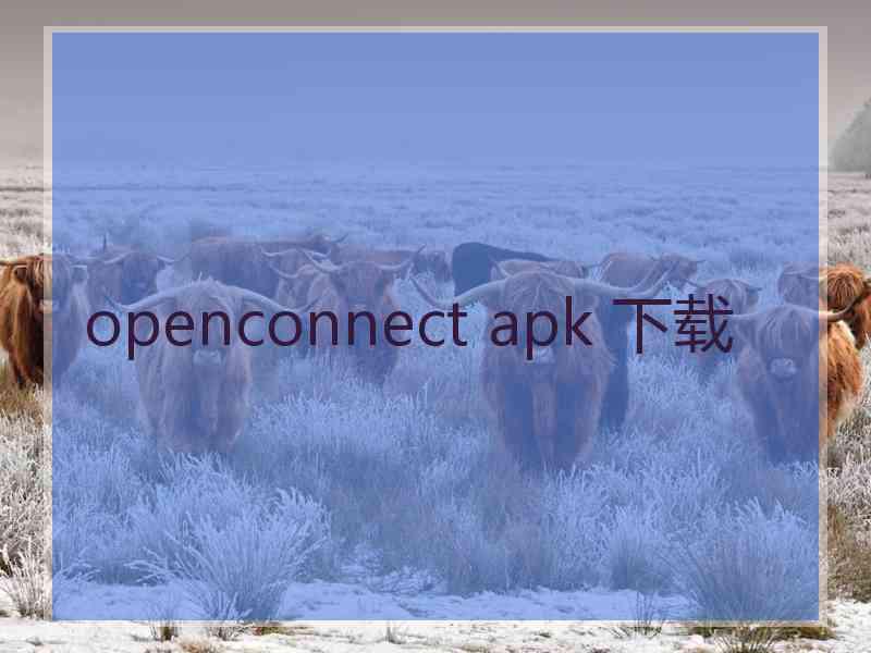 openconnect apk 下载