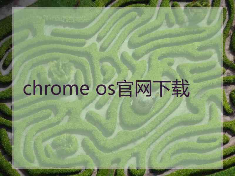 chrome os官网下载