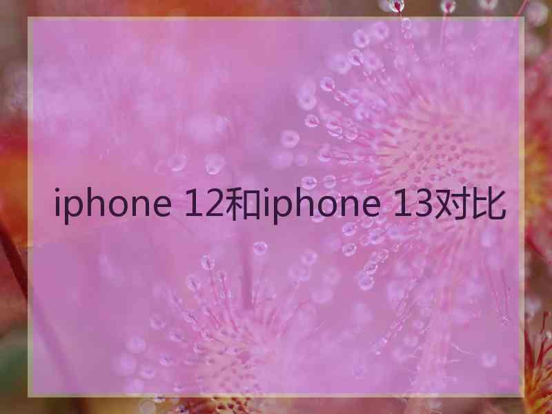 iphone 12和iphone 13对比