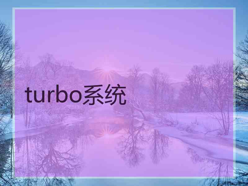 turbo系统