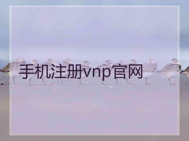 手机注册vnp官网